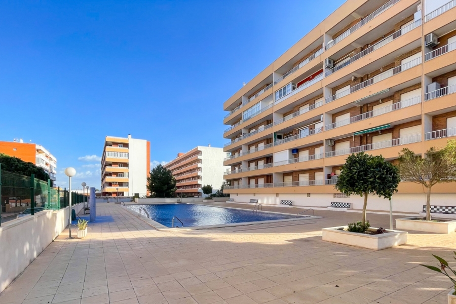 Re-Sale - Apartment - Torrevieja - Rocio del Mar