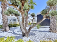 Re-Sale - Apartment - Orihuela Costa - Punta Prima