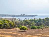 Re-Sale - Apartment - Torrevieja - Rocio del Mar