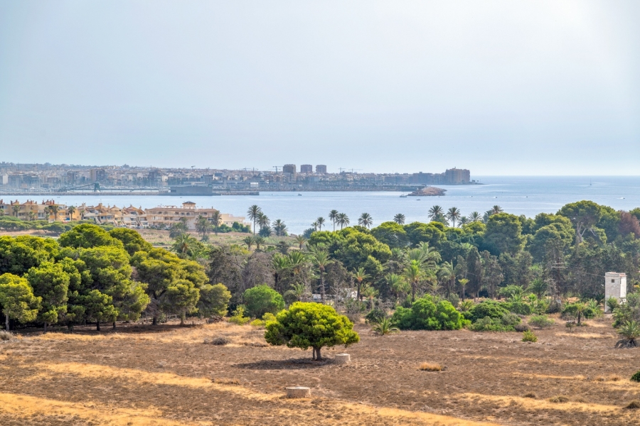 Re-Sale - Apartment - Torrevieja - Rocio del Mar