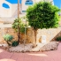 Re-Sale - Apartment - San Miguel de Salinas - Las Comunicaciones
