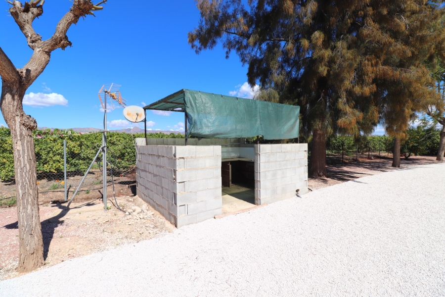 Wederverkoop - Landgoed - Callosa de Segura - Callosa de Segura - Veld