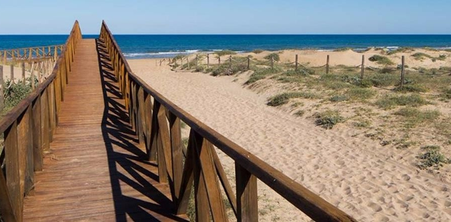 Re-Sale - Detached Villa - Algorfa - La Finca Golf Resort