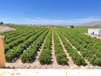 Re-Sale - Apartment - Algorfa - Algorfa - Village