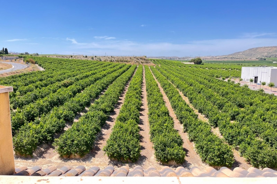 Re-Sale - Apartment - Algorfa - Algorfa - Village