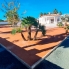 New - Country Property - Catral - Catral - Country