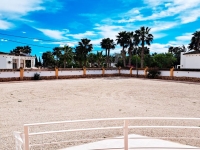 Re-Sale - Country Property - Catral - Catral - Country