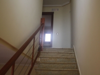 Nueva - Adosado - Torrevieja