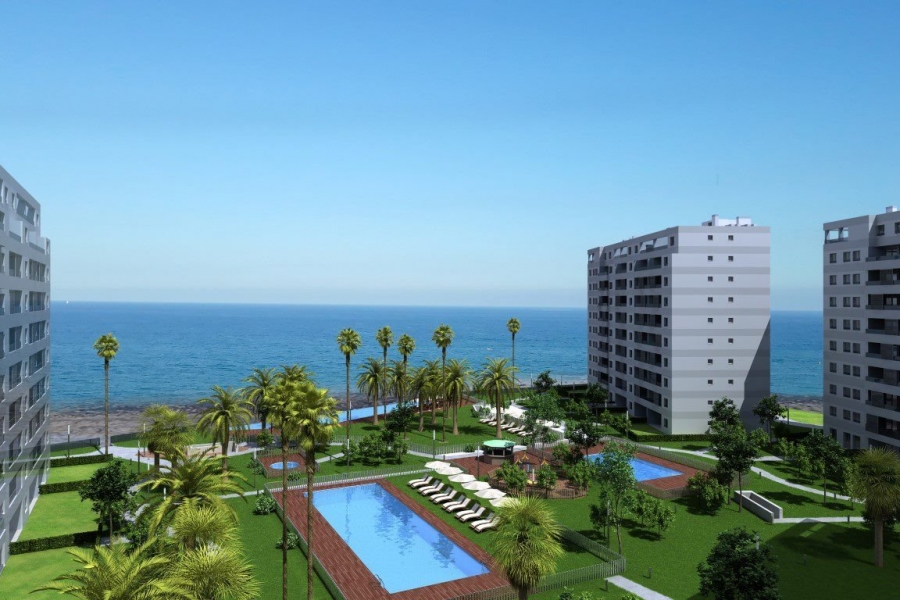 Nueva - Penthouse - Torrevieja - Punta Prima