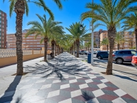 Re-Sale - Apartment - Arenales del Sol - Arenales del Sol - Town