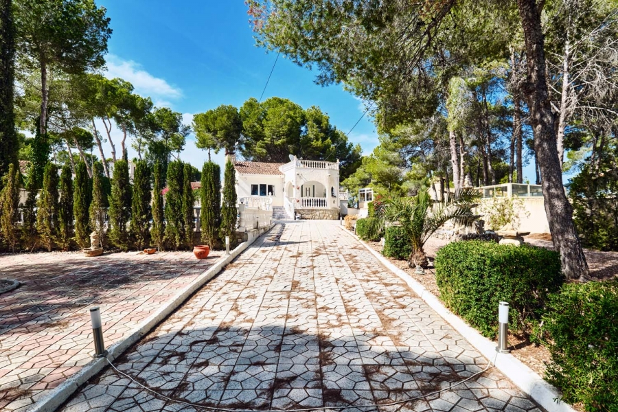 Re-Sale - Detached Villa - Pinar de Campoverde - Pinar de Campoverde - Village