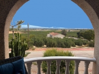 Re-Sale - Detached Villa - Algorfa - Algorfa - Village