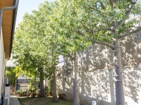 New - Detached Villa - San Pedro del Pinatar - San Pedro del Pinatar - Town