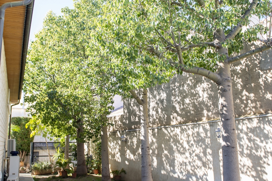 New - Detached Villa - San Pedro del Pinatar - San Pedro del Pinatar - Town