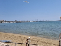 Re-Sale - Apartment - Torrevieja - Playa Acequion