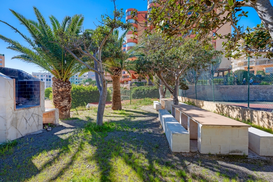 Re-Sale - Apartment - Arenales del Sol - Arenales del Sol - Town
