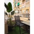 Re-Sale - Apartment - Torrevieja - Torrevieja - Centre