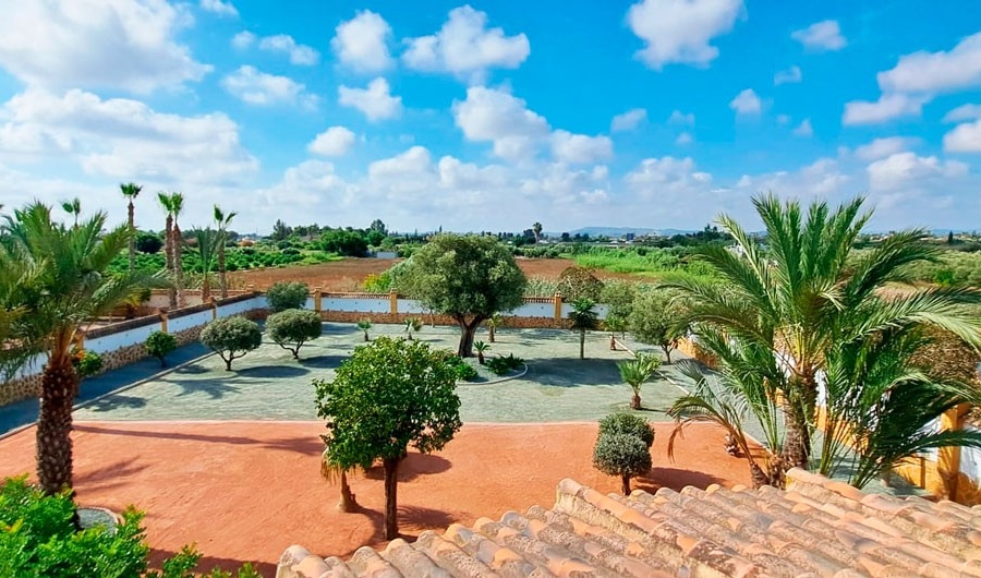 Re-Sale - Country Property - Catral - Catral - Country