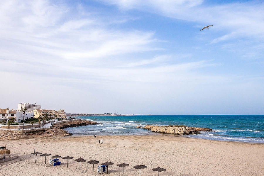 New - Detached Villa - Orihuela Costa