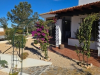 Re-Sale - Detached Villa - Fuente Alamo - Las Palas