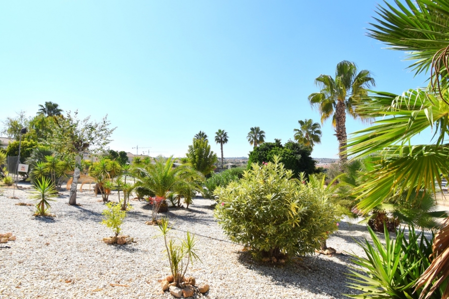 Rental - Apartment - Orihuela Costa - Los Altos