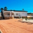 New - Country Property - Catral - Catral - Country