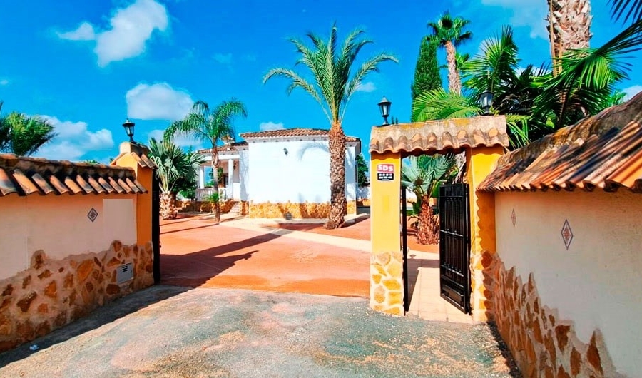 New - Country Property - Catral - Catral - Country