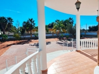 New - Country Property - Catral - Catral - Country