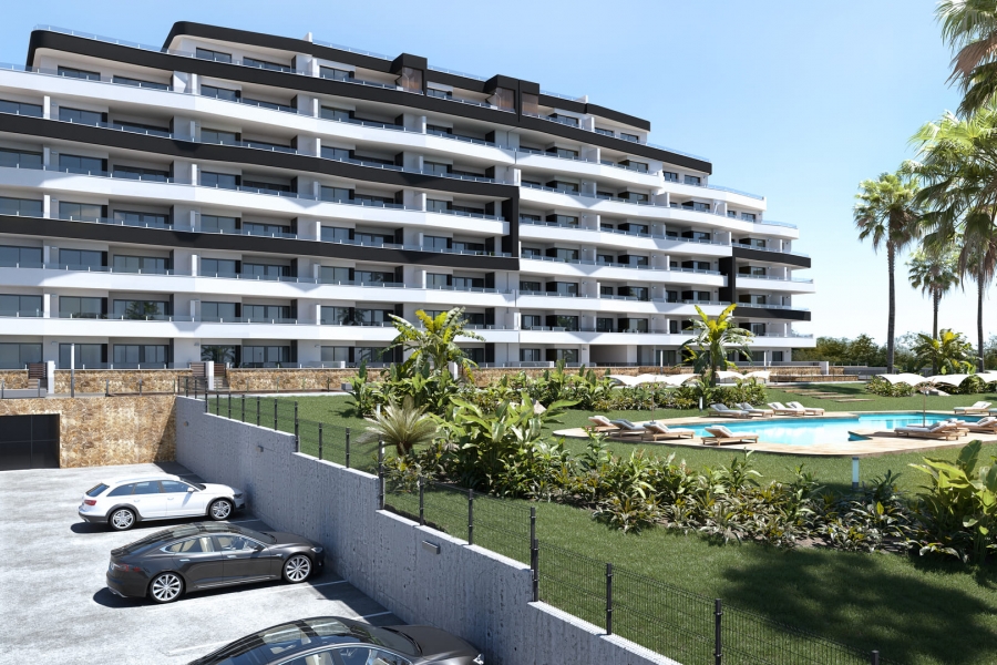 New - Apartment - San Miguel de Salinas - San Miguel - Town