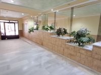 Re-Sale - Apartment - Torrevieja - Torrevieja - Centre