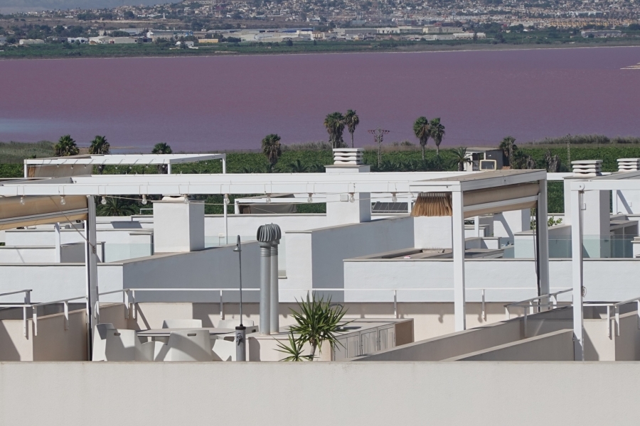 Re-Sale - Apartment - Orihuela Costa - Los Balcones