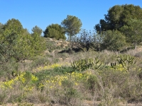 Re-Sale - Apartment - Orihuela Costa - Villamartin