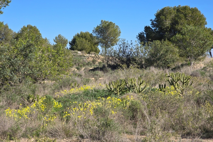 Re-Sale - Apartment - Orihuela Costa - Villamartin