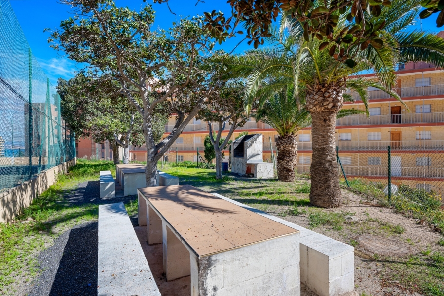 Re-Sale - Apartment - Arenales del Sol - Arenales del Sol - Town