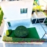 Re-Sale - Detached Villa - Los Montesinos - La Herrada