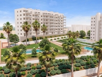 New - Apartment - San Miguel de Salinas - San Miguel - Town