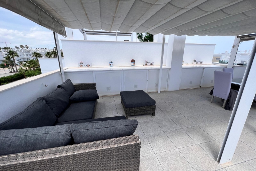 Re-Sale - Apartment - Los Montesinos - Entre Naranjos / Vistabella Golf