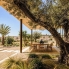 New - Detached Villa - La Marina - La Escuera