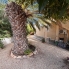 Re-Sale - Detached Villa - Ciudad Quesada - Lo Pepin