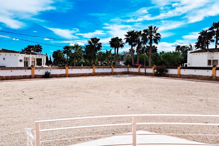 New - Country Property - Catral - Catral - Country