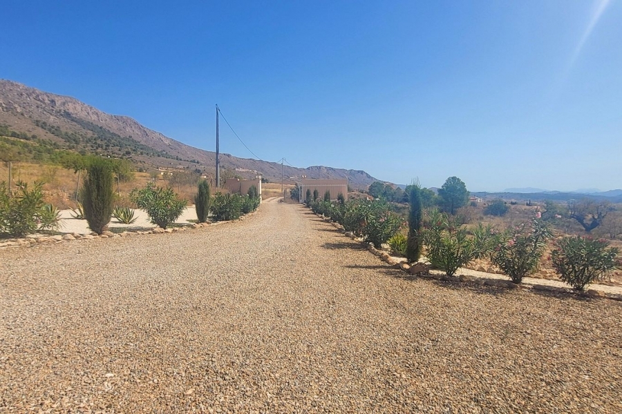 Re-Sale - Detached Villa - La Romana - La Romana - Country