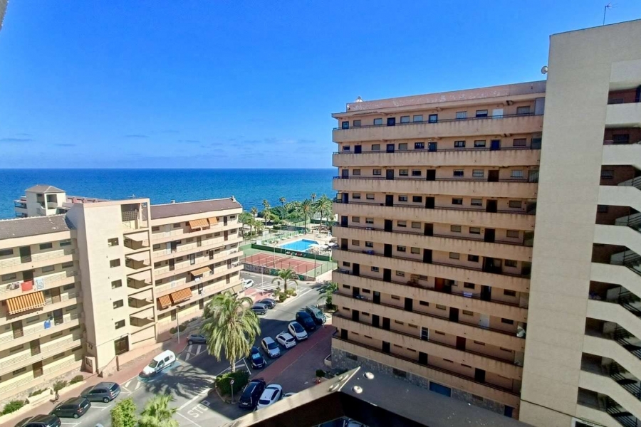 Re-Sale - Apartment - Torrevieja - Cabo Cervera