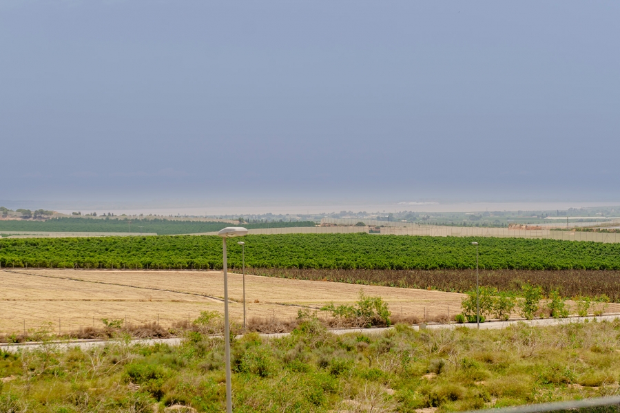 Nueva - Chalet - Los Montesinos - Entre Naranjos / Vistabella Golf