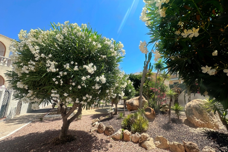 Re-Sale - Apartment - Torrevieja - Torre La Mata