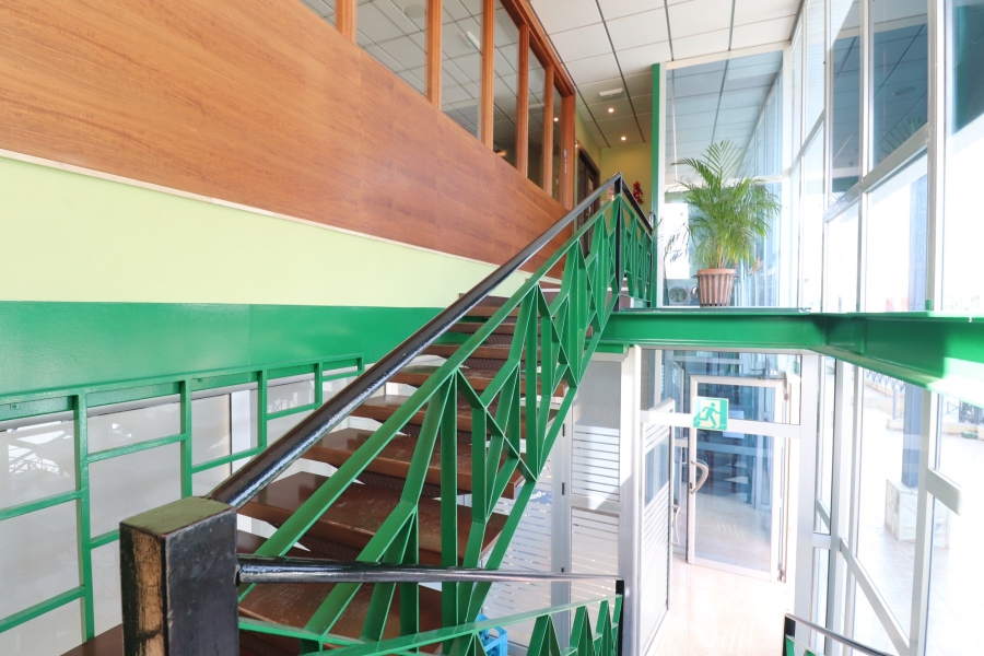 Comercial - Comercial - Ciudad Quesada - Ciudad Quesada - Pueblo