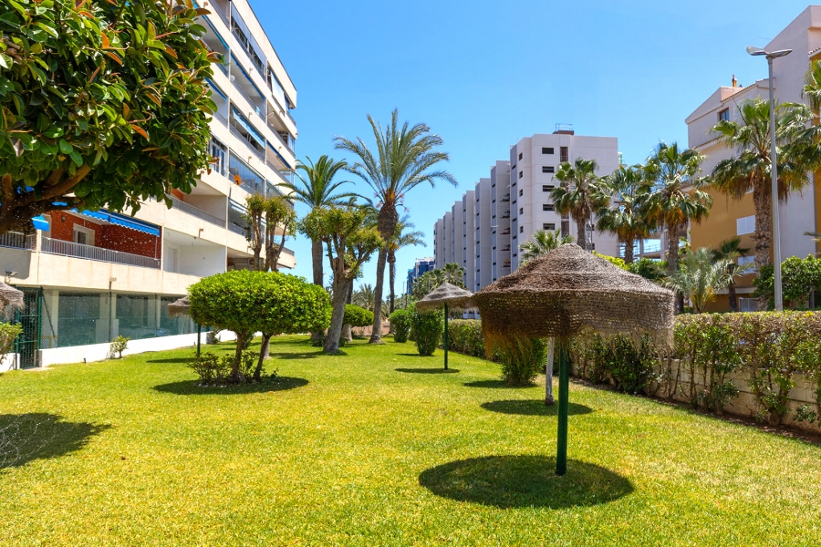 Re-Sale - Apartment - Torrevieja - Rocio del Mar