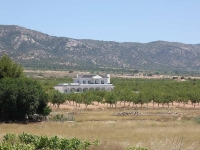 Nieuw - Vrijstaande Villa - Pinoso - Camino Del Prado