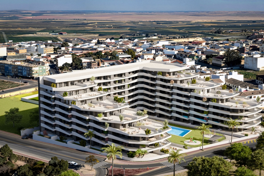 New - Apartment - San Miguel de Salinas - San Miguel - Town