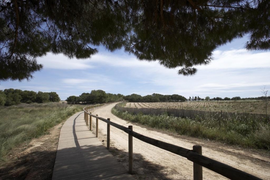 Nueva - Bungalow - Torrevieja - Altos del Sol