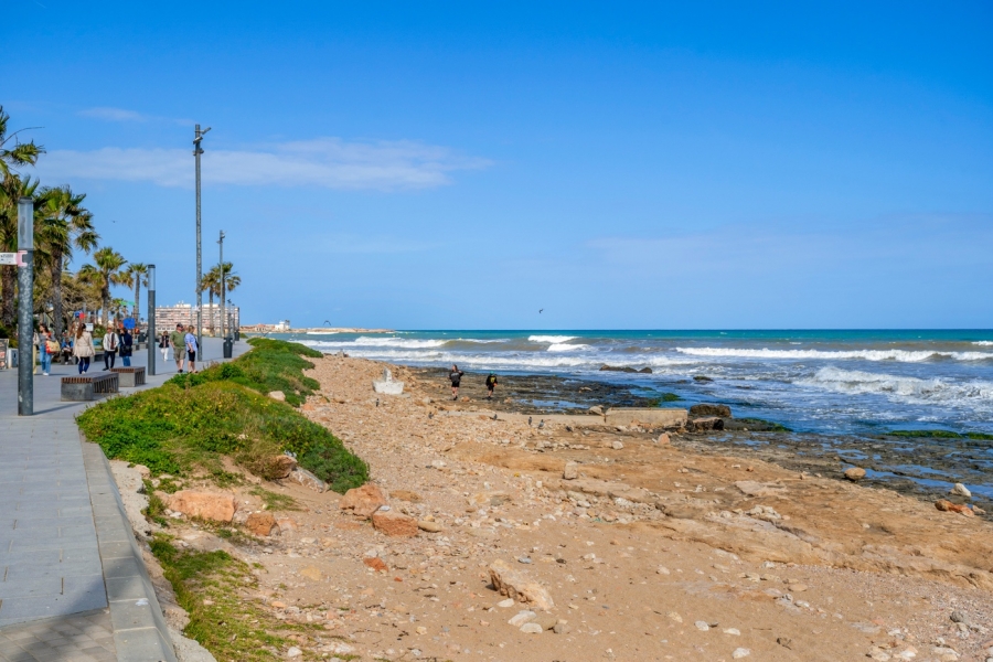 Re-Sale - Apartment - Torrevieja - Playa Del Cura